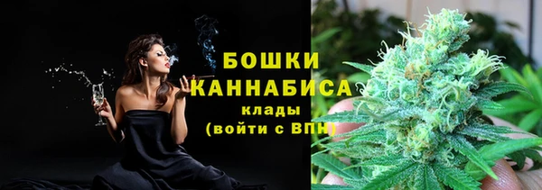 Альфа ПВП Гусев