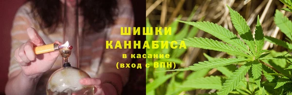 метадон Гусиноозёрск
