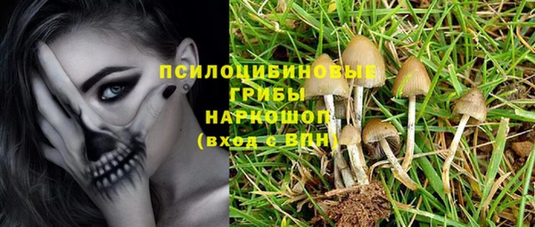 метадон Гусиноозёрск
