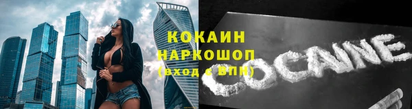 Альфа ПВП Гусев