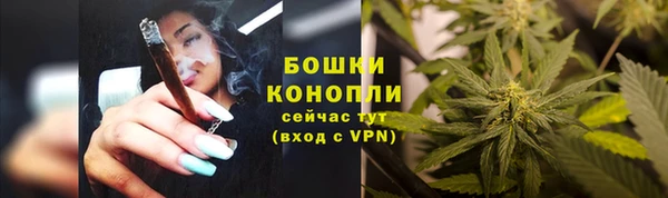 экстази Гусь-Хрустальный