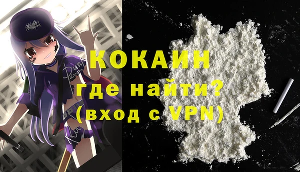 гидра Горняк