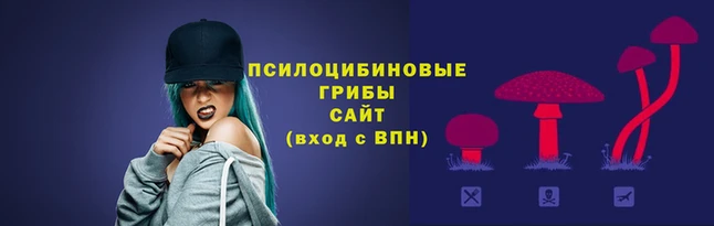 экстази Гусь-Хрустальный
