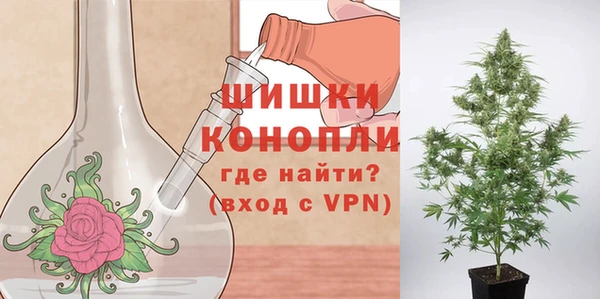 метадон Гусиноозёрск