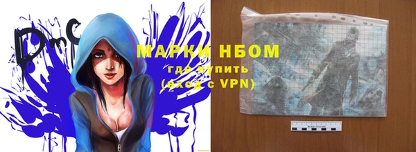 Альфа ПВП Гусев